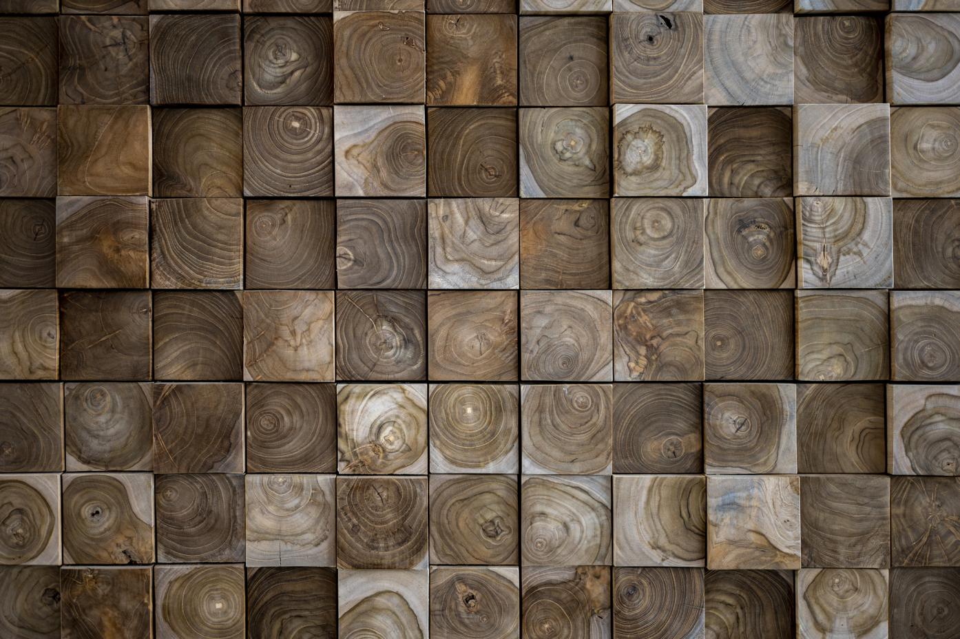 Lago Bloesembad Sint-Truiden - detail kops hout